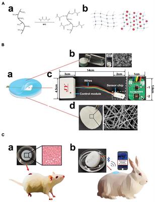 An Integrated Smart Sensor Dressing for Real-Time Wound Microenvironment Monitoring and Promoting Angiogenesis and Wound Healing